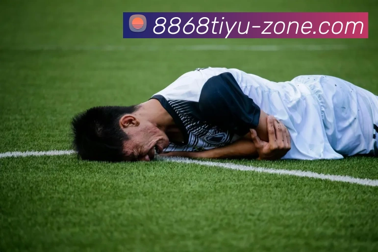 奖项证书